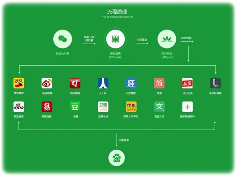新媒体运营的现状与发展:在信息洪流中驶向新航程