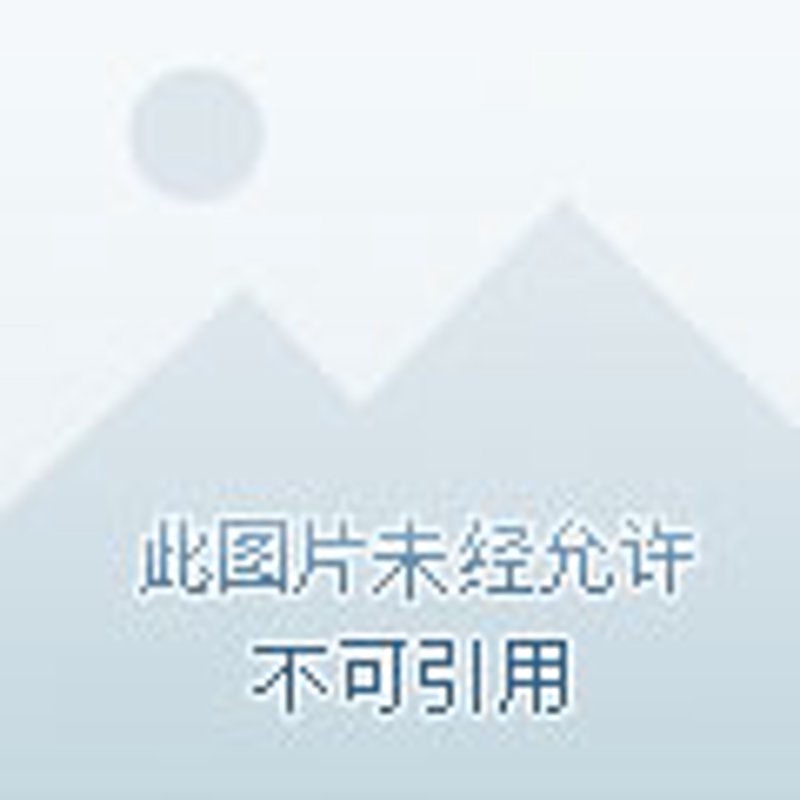 品牌策划：打造企业不败的法宝